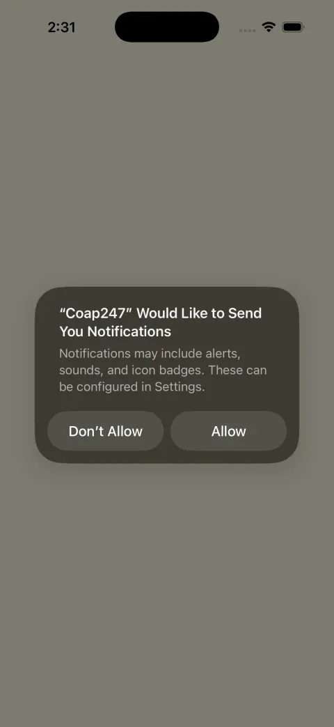 The phone’s system prompt asking permission to send notifications.
